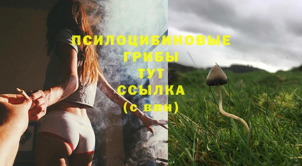 прущие крисы Белокуриха