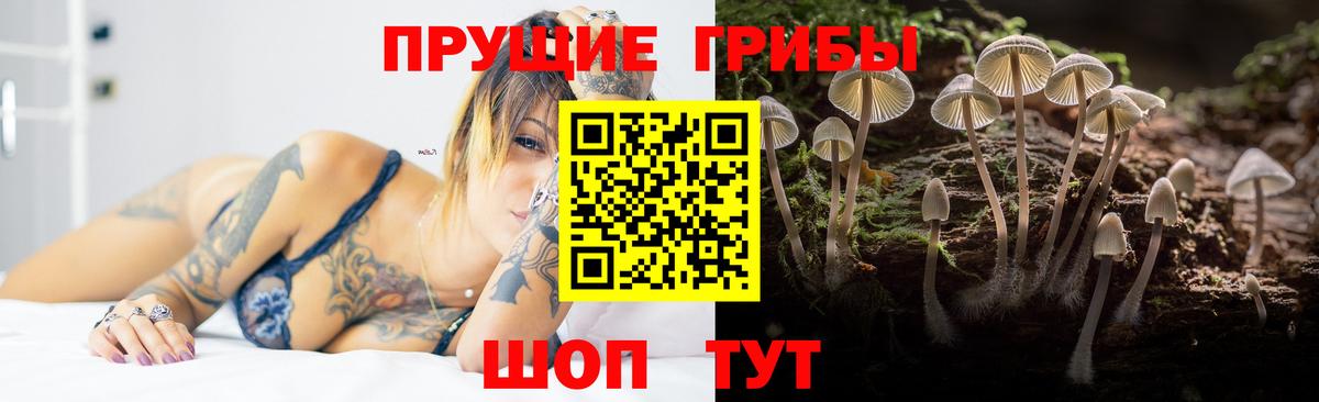 Псилоцибиновые грибы мухоморы  Вход с VPN  Обь 